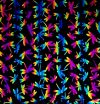 90 Pre Made Etched Pattern #089 Dragonflies, RBD G-Magenta Blue Dichroic on Thin Black Glass