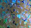 90 Pre Made Etched Pattern #095 Grapes, Fusion Mixture CBS Dichroic on Thin Black Glass