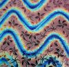 90 Sand Carved Pattern #207 Pointed Plumeria, Twizzle Candy CBS Dichroic on Black Glass
