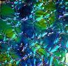 90 Aurora Borealis Blue Gold CBS Dichroic on Figure C Thin Black Glass