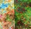 90 Aurora Borealis Candy Apple CBS Dichroic on Green Florentine Thin Glass