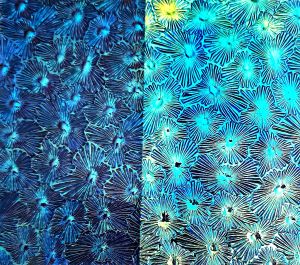 90 Aurora Borealis Cyan Copper  Dichroic on Blue Florentine Thin Glass