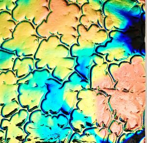 90 Aurora Borealis Salmon Dichroic on Figure C Thin Black Glass
