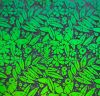 90 Pre Made Etched Pattern #106 Batik, Emerald CBS Dichroic on Thin Clear Glass