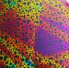 90 Pre Made Etched Pattern #006 Open Ovals, Cool Lava CBS Dichroic on Thin Clear Glass