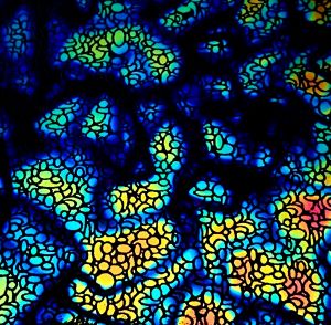 90 Pre Made Etched Pattern #019 Layered Bubbles, Fusion RB2 CBS Dichroic on Thin Black Glass