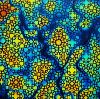 90 Pre Made Etched Pattern #031 Star Field, Fusion Rainbow 1  CBS Dichroic on thin Black Glass