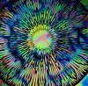 90 Pre Made Etched Pattern #044 Large Mandela, Corkscrew CBS  Dichroic on Thin Black Glass