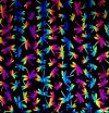 90 Pre Made Etched Pattern #089 Dragonflies, RBA G-Magenta Blue CBS Dichroic on Thin Black Glass