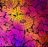 90 Pre Made Etched Pattern #091 Chrysanthemum, Aurora Borealis G-Magenta Blue Dichroic on Thin Black Glass