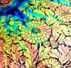 90 Pre Made Etched Pattern #091 Chrysanthemum, Voltage Salmon CBS Dichroic on Thin Black Glass