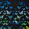 90 Pre Made Etched Pattern #094 Small Butterflies, Aurora Borealis Mixture CBS Dichroic on Thin Black Glass