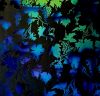 90 Pre Made Etched Pattern #095 Grapes, Fusion Blue Gold CBS Dichroic on Thin Clear Glass