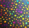 90 Pre Made Etched Pattern #099 Paws, Aurora Borealis G-Magenta CBS Dichroic on Thin Clear Glass.