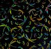 90 Pre Made Etched Pattern #100 Origami Dragonflies, Fusion Mixture #1, CBS Dichroic on Thin Black Glass