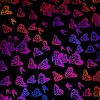 90 Pre Made Etched Pattern #101 Moths, Aurora Borealis G-Magenta Blue CBS Dichroic on Thin Black Glass