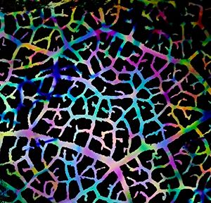 90 Pre Made Etched Pattern #108 Leaf Skeleton, Corkscrew CBS Dichroic on Thin Black Glass