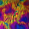 90 Pre Made Etched Pattern #138 Lace, Fusion G-Magenta Blue CBS Dichroic on Thin Clear Glass