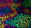 90 Pre Made Etched Pattern #120 Leopard, Cool Lava Dichroic on Thin Clear Glass