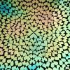90 Pre Made Etched Pattern #123 Exploding Hearts, Aurora Borealis G-Pink CBS Dichroic on Thin Black Glass