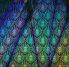 90 Pre Made Etched Pattern #126 Peacock Feathers, Pixie Stix Mixture #1 CBS Dichroic on Thin Black Glass