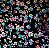 90 Pre Made Etched Pattern #127 Cherry Blossoms, Fusion Mixture #1 Dichroic on Thin Black Glass