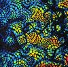90 Pre Made Etched Pattern #131 Mini Mosaic, Fusion RB2 CBS Dichroic on thin Black Glass
