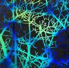 90 Pre Made Etched Pattern #134 Tree Silhouette, Hot Lava CBS Dichroic on Thin Black Glass