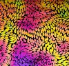 90 Pre Made Etched Pattern #136, Exploding Chrysanthemum, Aurora Borealis G-Magenta CBS Dichroic on Thin Clear Glass