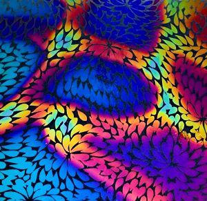 90 Pre Made Etched Pattern #136, Exploding Chrysanthemum, Cool Lava CBS Dichroic on Thin Clear Glass