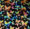 90 Pre Made Etched Pattern #144 Mixed Butterflies, Fusion Mixture Dichroic on Thin Black Glass