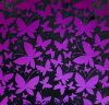 90 Pre Made Etched Pattern #144 Mixed Butterflies, G-Magenta CBS Dichroic on Thin Clear Glass