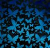 90 Pre Made Etched Pattern #144 Mixed Butterflies, Pink Teal CBS Dichroic on Vintage FX Thin Clear Glass