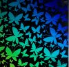 90 Pre Made Etched Pattern #144 Mixed Butterflies, RB2 CBS Dichroic on Thin Black Glass