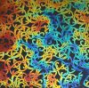 96 Pre Made Etched Pattern #147 Nouveau Curls, Fusion Candy CBS Dichroic on Thin Clear Glass