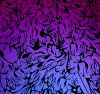 90 Pre Made Etched Pattern #156 Iris, G-Magenta CBS Dichroic on Thin Black Glass