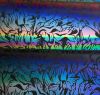 90 Pre Made Etched Pattern #156 Iris, Tropical Rays 2" CBS Dichroic on Thin Black Glass