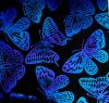 90 Pre Made Etched Pattern #160 Giant Moths, Aurora Borealis P-Teal CBS Dichroic on Thin Black Glass