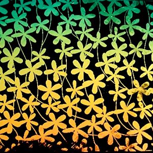 90 Pre Made Etched Pattern #164 Flower Vail, RB2 CBS Dichroic on Thin Black Glass