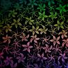 90 Pre Made Etched Pattern #207 Pointed Plumeria , Mixture CBS Dichroic on Thin Black Glass