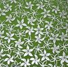 90 Pre Made Etched Pattern #207 Small Pointed Plumeria, Silver CBS Dichroic on Thin Spring Glass