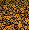 90 Pre Made Etched Pattern #208 Small Round Plumeria, Cyan Red CBS Dichroic on Thin Black Glass