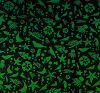 90 Pre Made Etched Pattern #209 Sea Creatures, Emerald Dichroic on Black Glass