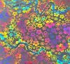 90 Pre Made Etched Pattern 210 Sakura, Fusion G-Magenta Dichroic on Clear Glass