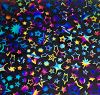 90 Pre Made Etched Pattern #217 Dancing Stars, Fusion G-Magenta Blue Dichroic on Clear Glass