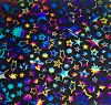 90 Pre Made Etched Pattern #217 Dancing Stars, Fusion G-Magenta Blue CBS Dichroic on Clear Glass