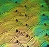 90 Pre Made Etched Pattern #218 Silk Wave,  Aurora Borealis Salmon CBS Dichroic on Thin Clear Glass