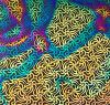 90 Pre Made Etched Pattern #223 Swirling Net, Cool Lava CBS Dichroic on Thin Clear Glass