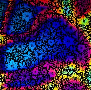 90 Pre Made Etched Pattern #224 Pointsettia, Cool Lava CBS Dichroic on Thin Black Glass