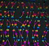 90 Pre Made Etched Pattern #225 Mardi Beads, RBA G-Magenta Blue CBS Dichroic on Thin Black Glass